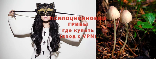 ешки Арсеньев