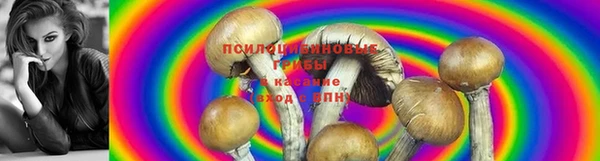 ALPHA PVP Армянск