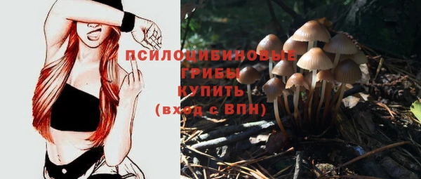 ALPHA PVP Армянск