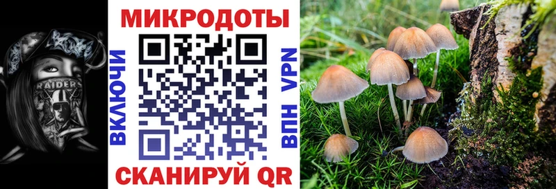Псилоцибиновые грибы Cubensis  магазин  наркотиков  Чаплыгин 