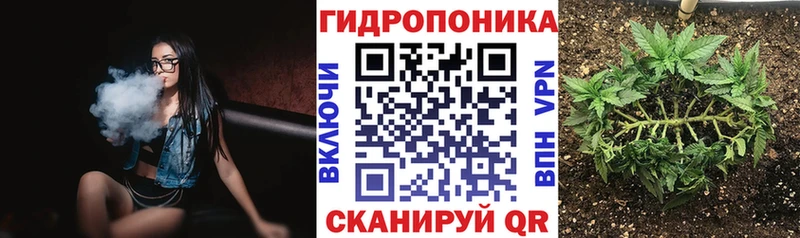 как найти наркотики Чаплыгин Каннабис семена
